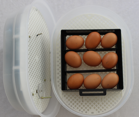 Janoel Model 12 Automatic Egg Incubator