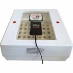 Automatic Digital Incubator