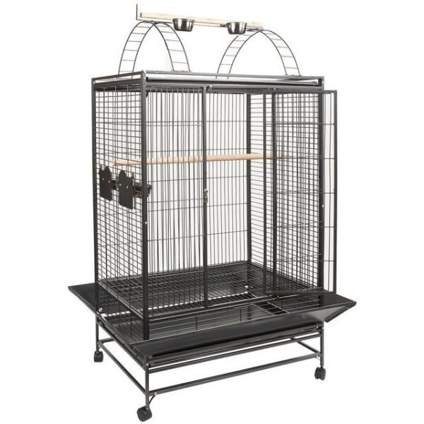 belize parrot cage Belize Play Top Parrot Cage