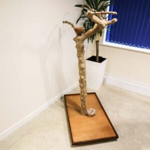 ***Collection Only*** Java Duo Tree – Medium – Natural Hardwood Parrot Playstand